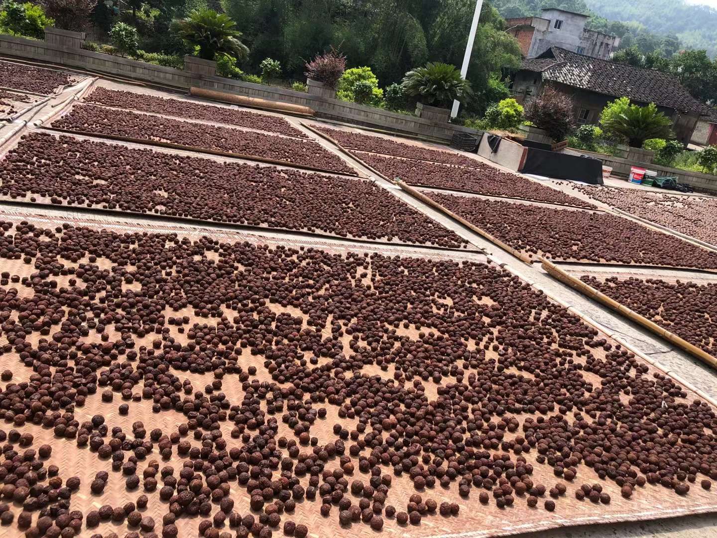 李子干  原产地，自然晒干，保证品质新鲜，口味要求可以协商。