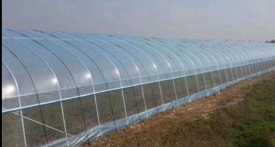 大棚钢管热镀锌大棚管养殖大棚种植大棚蔬菜大棚骨架厂家直发！！