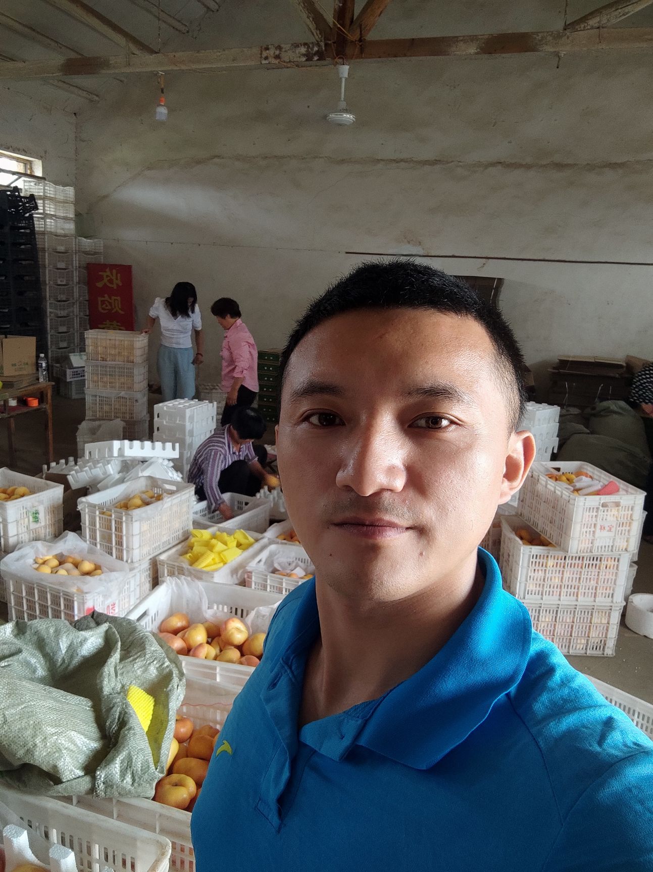 黄蟠桃自带仙气口感爆棚脆甜多汁爽口