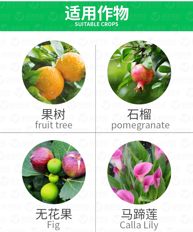 哒螨螺螨酯  威龙25%哒螨灵螺螨酯果树柑橘树红蜘蛛锈壁虱杀