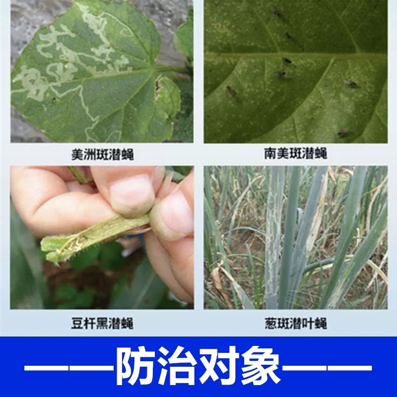 30%灭蝇胺美洲斑潜蝇鬼画符地图虫穿皮虫农药杀虫剂正品农资