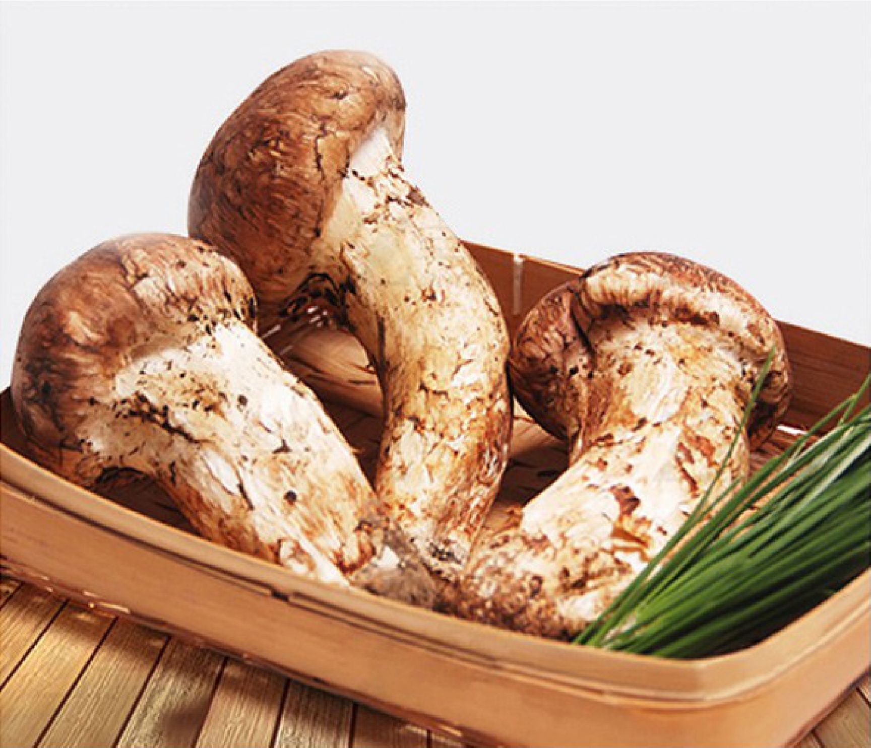 鲜松茸  松茸-基地-直采-直发/同时支持一件代发