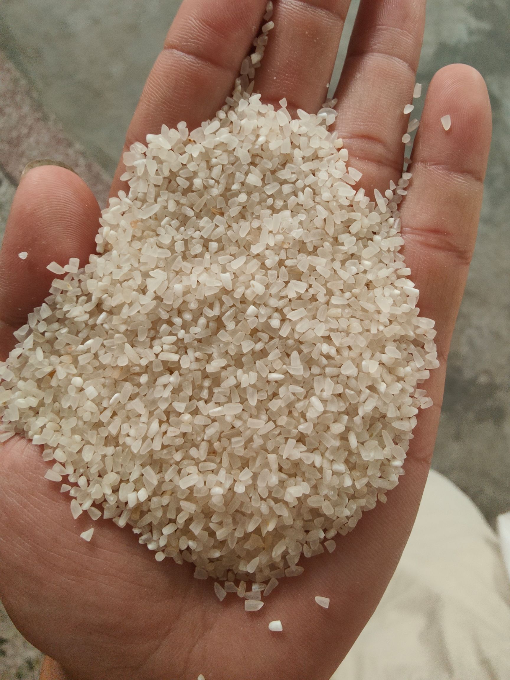 巴基斯坦碎米图片
