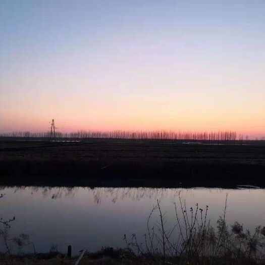 富锦市家庭农场对外流转38年