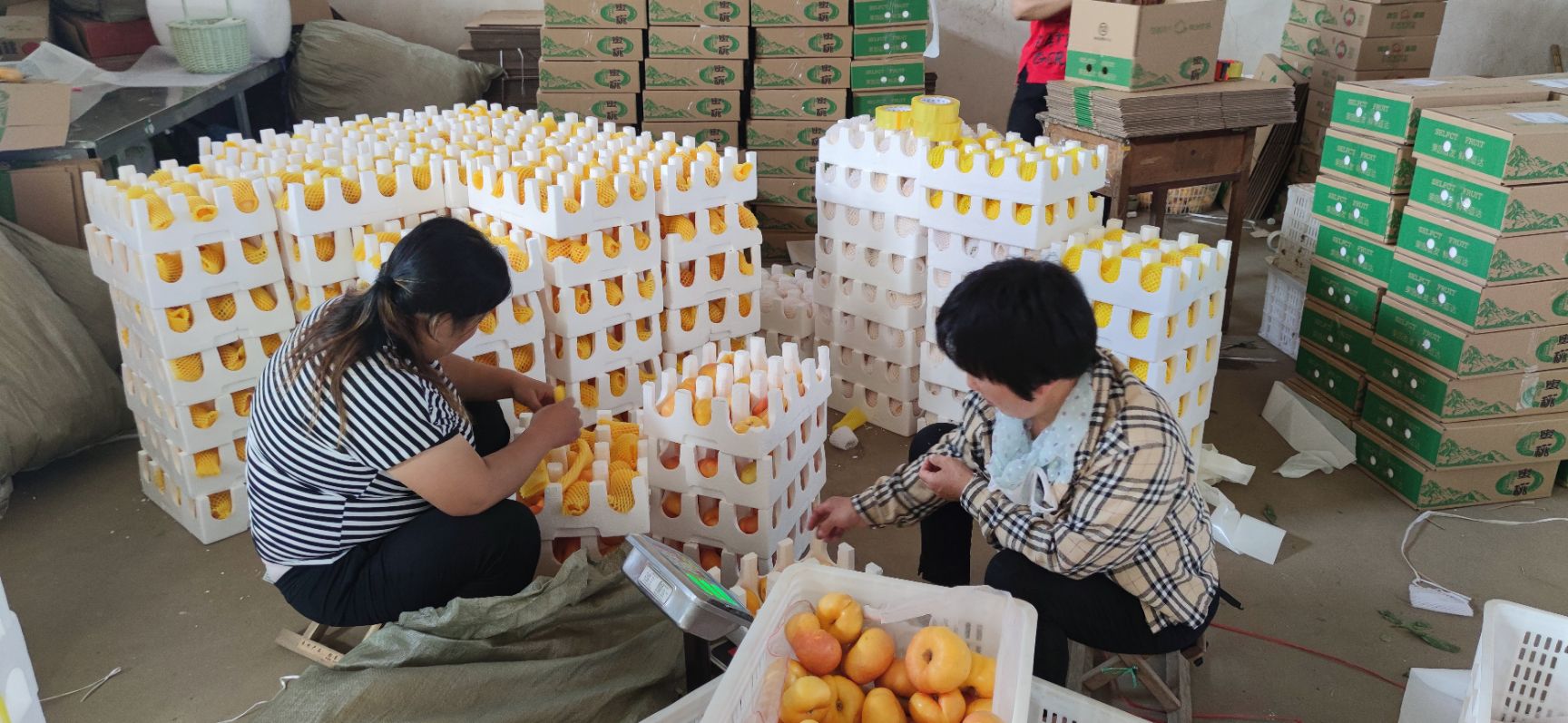 黄蟠桃自带仙气口感爆棚脆甜多汁爽口