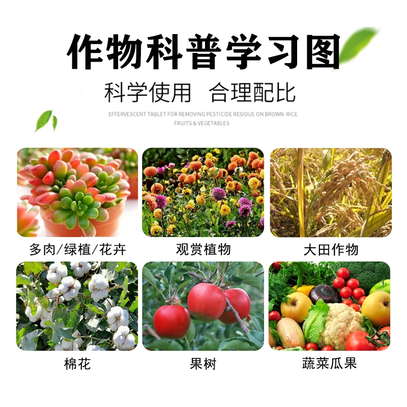 悦联80%多菌灵瓜果蔬菜草木花卉纹枯病赤霉病菌核病杀菌剂