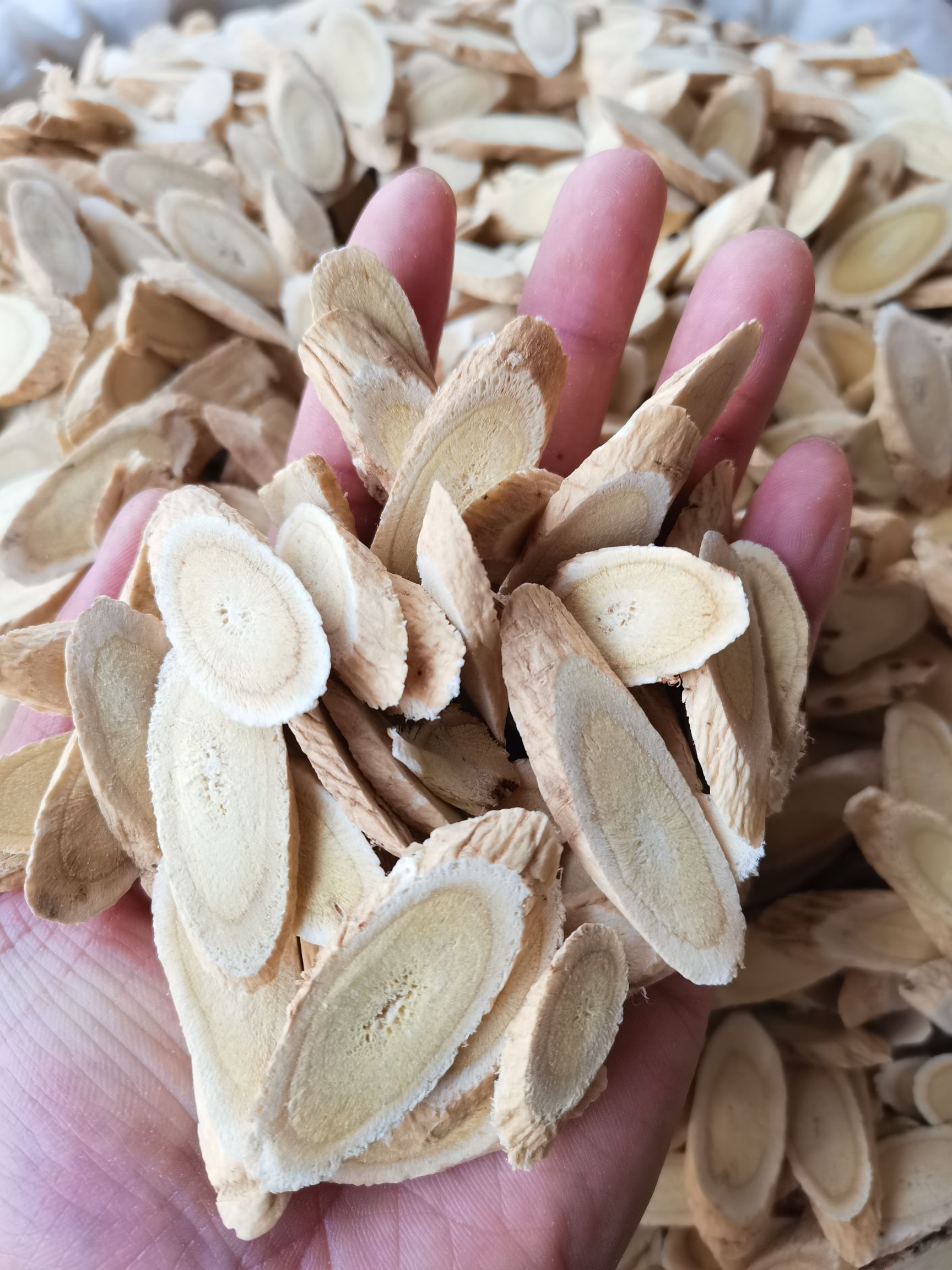 黄芪 黄芪片 各种香辛料批发 中药大全