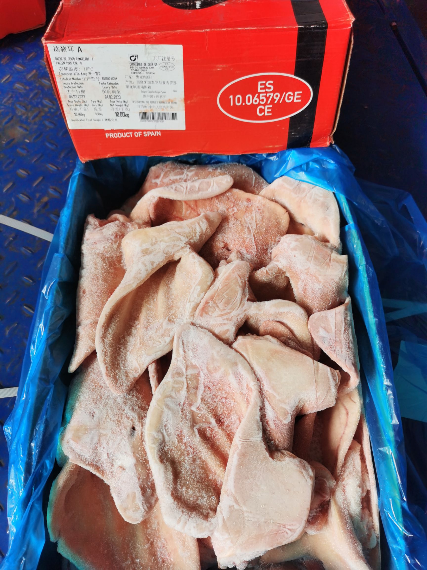 猪耳朵  正关6579A耳  靓货