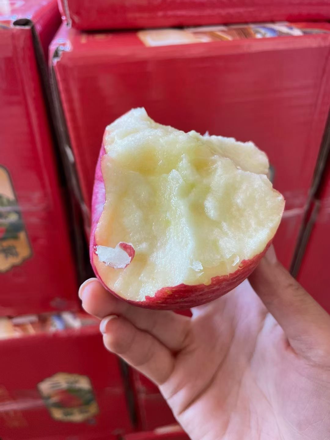 红富士苹果  洛川红富士