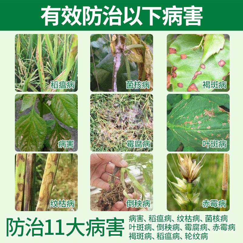 悦联80%多菌灵瓜果蔬菜草木花卉纹枯病赤霉病菌核病杀菌剂