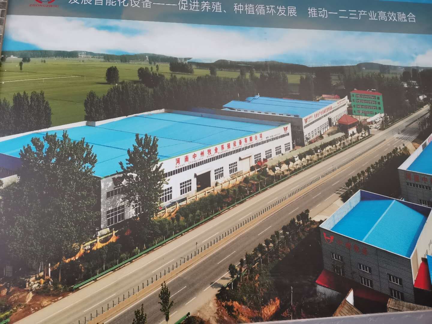 厂家供应自动化鸡笼设备，层叠蛋鸡笼，热镀锌鸡笼 量大从优