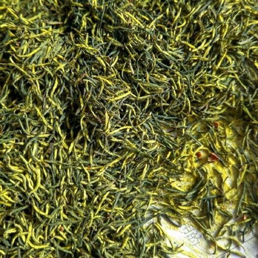 鄄城县杜仲花 杜仲雄花 花粉含量高 男人茶 欢迎采购
