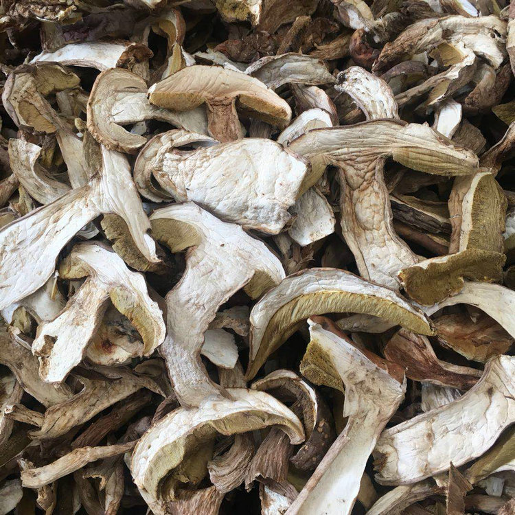 红葱菌 临沧白牛肝黄牛肝 见手青 紫手青  新货 干片 一天能出两吨