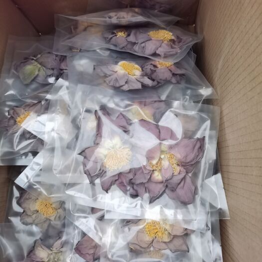 微山县荷叶茶  微山湖荷花茶