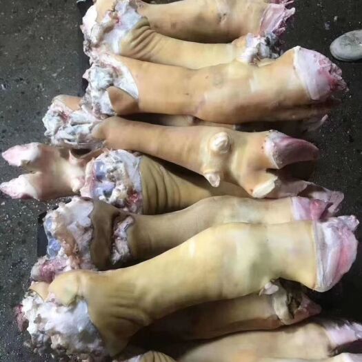 阳信县牛蹄，火烧毛带骨牛蹄，半去骨牛蹄，全去骨牛蹄，牛蹄切块