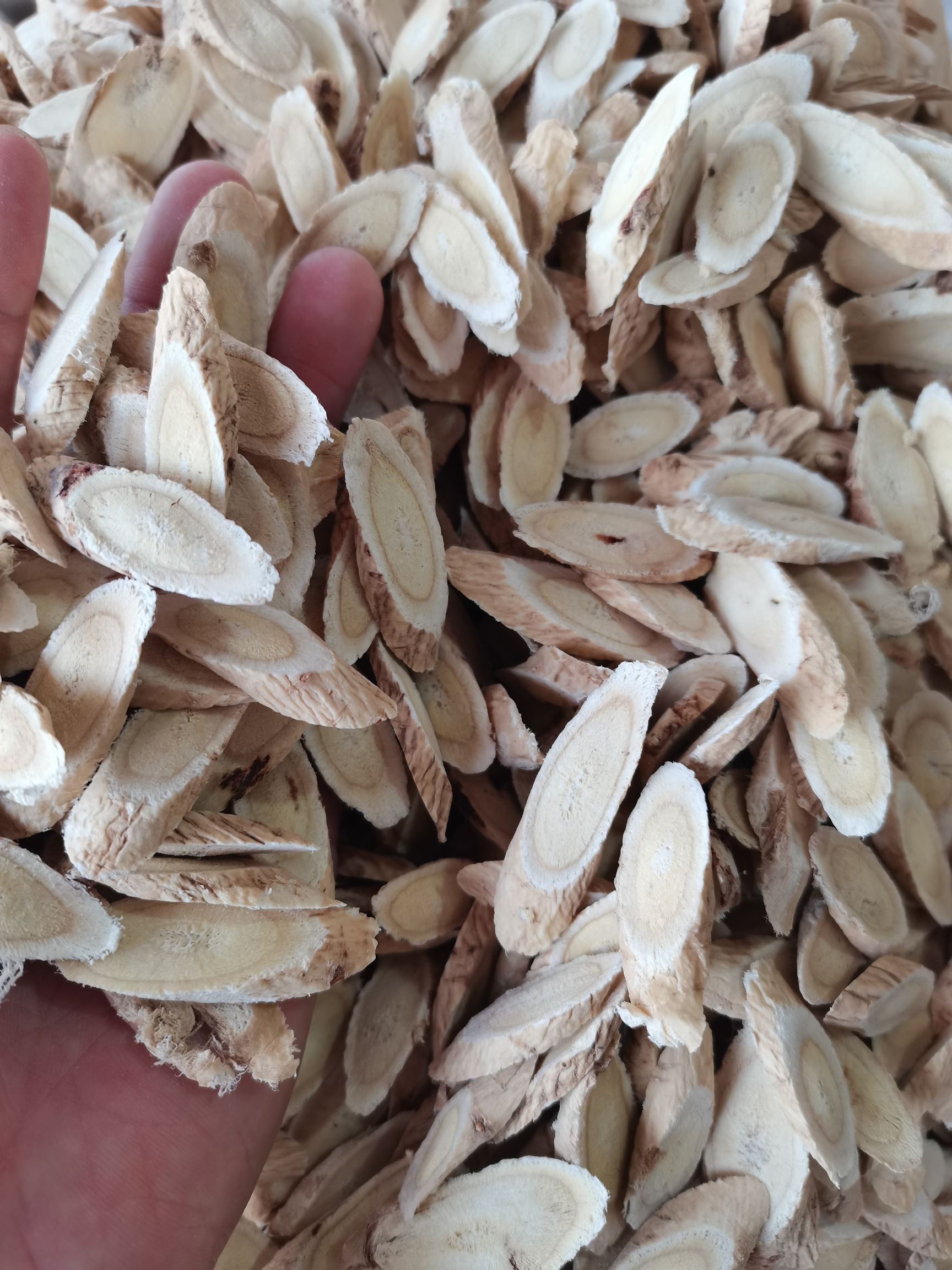 黄芪 黄芪片 各种香辛料批发 中药大全