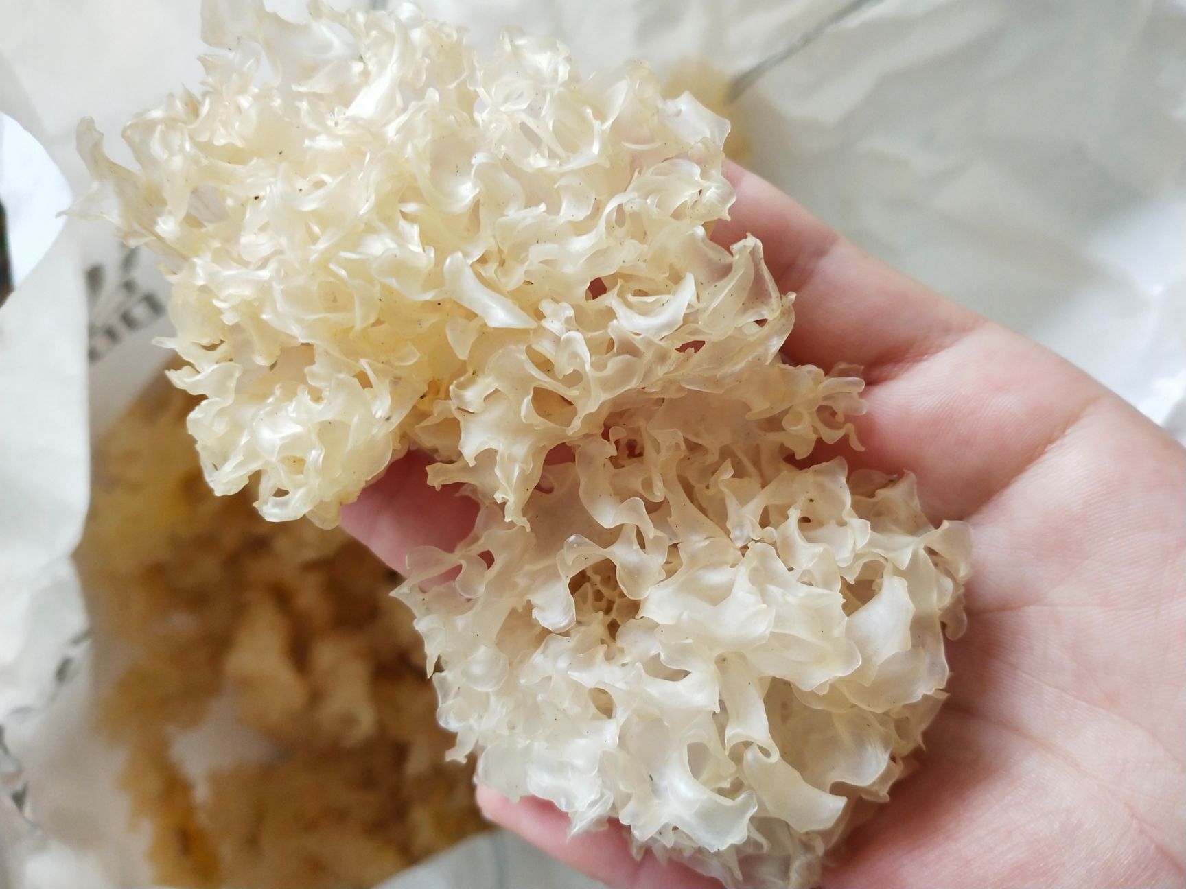 【通江银耳】正宗通江椴木银耳通货 统货 新货干耳批发