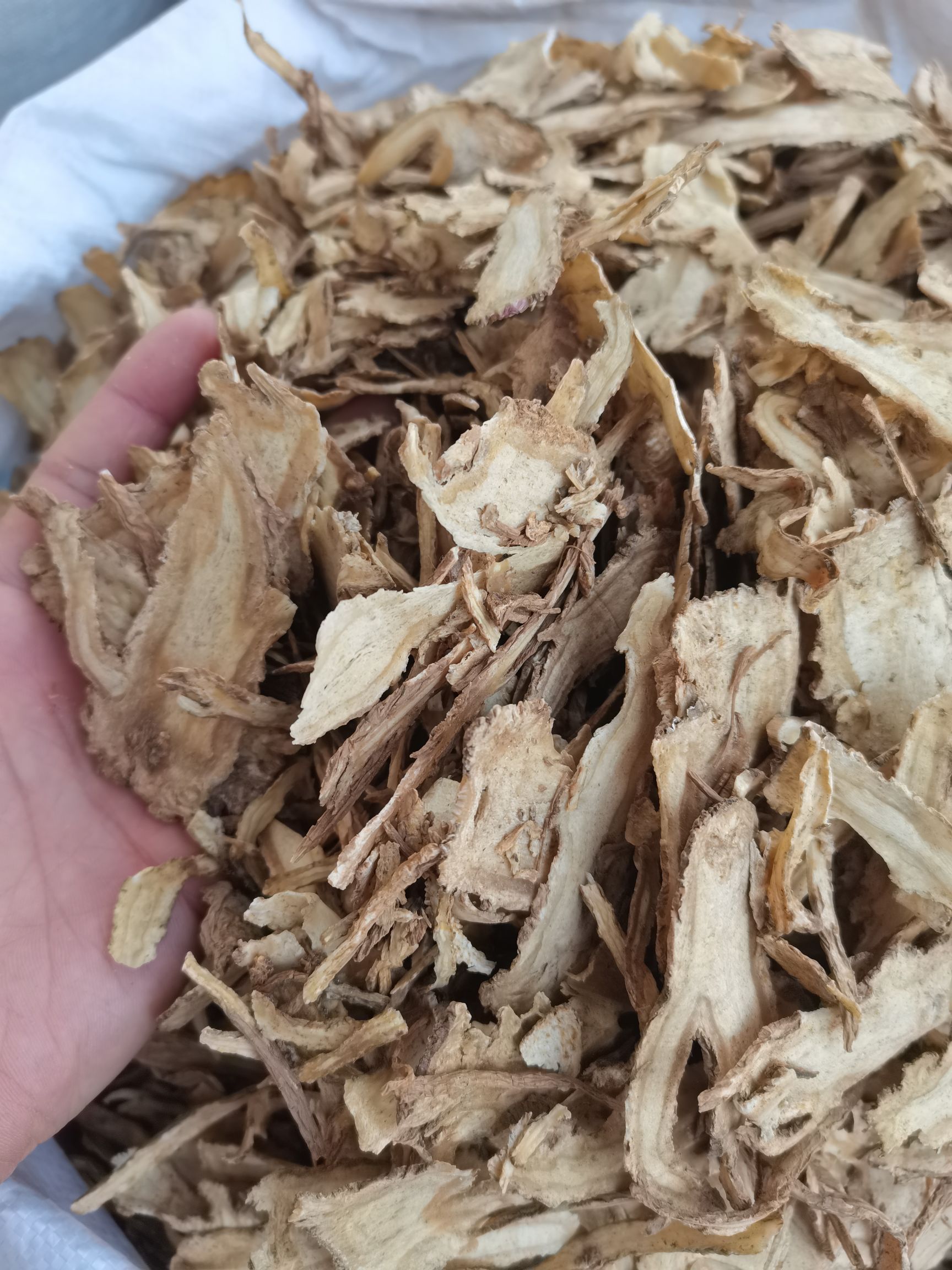 当归 各种当归片 各种香辛料批发 中药材大全