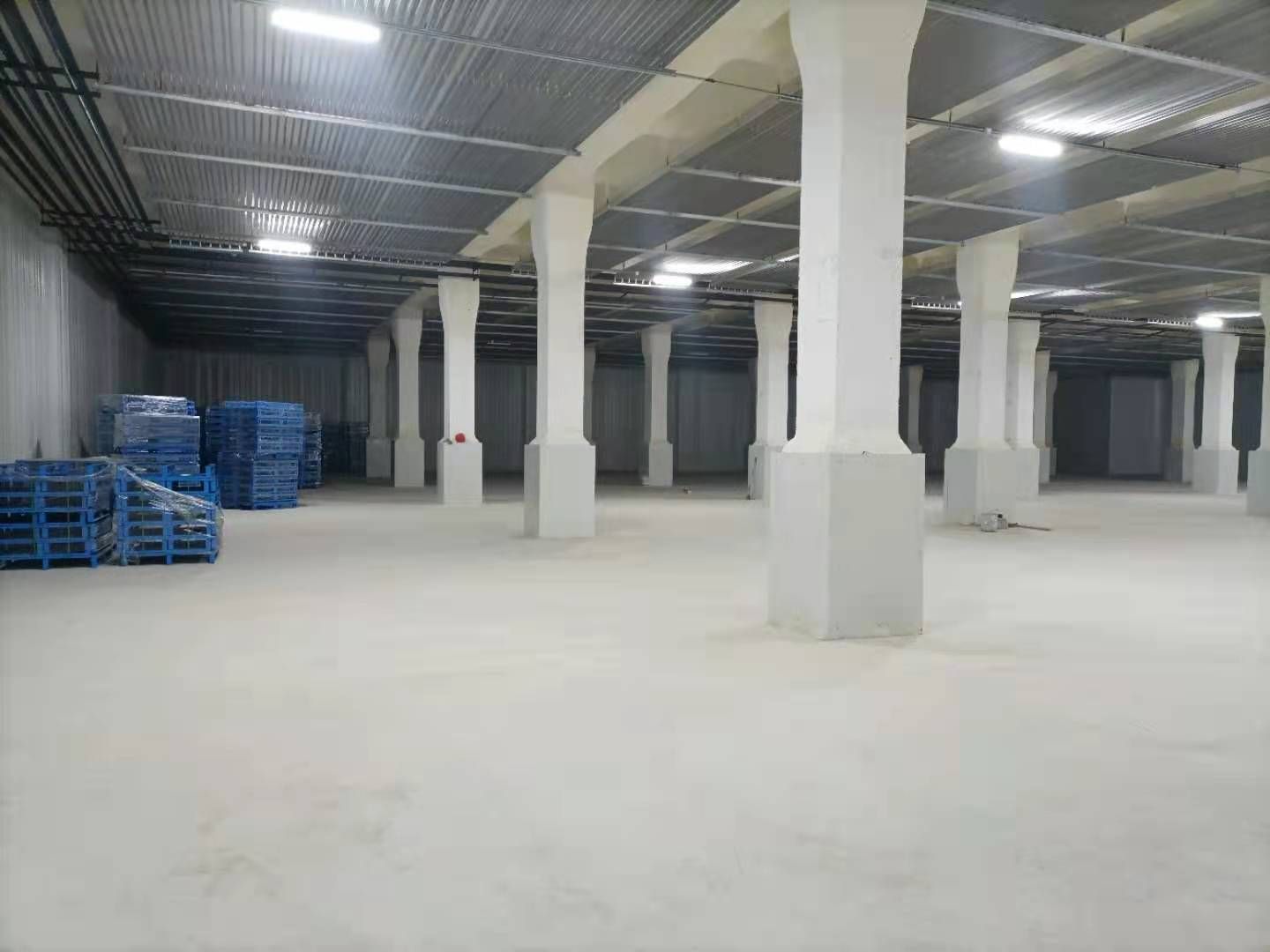 冷库租赁 大型冷库招商