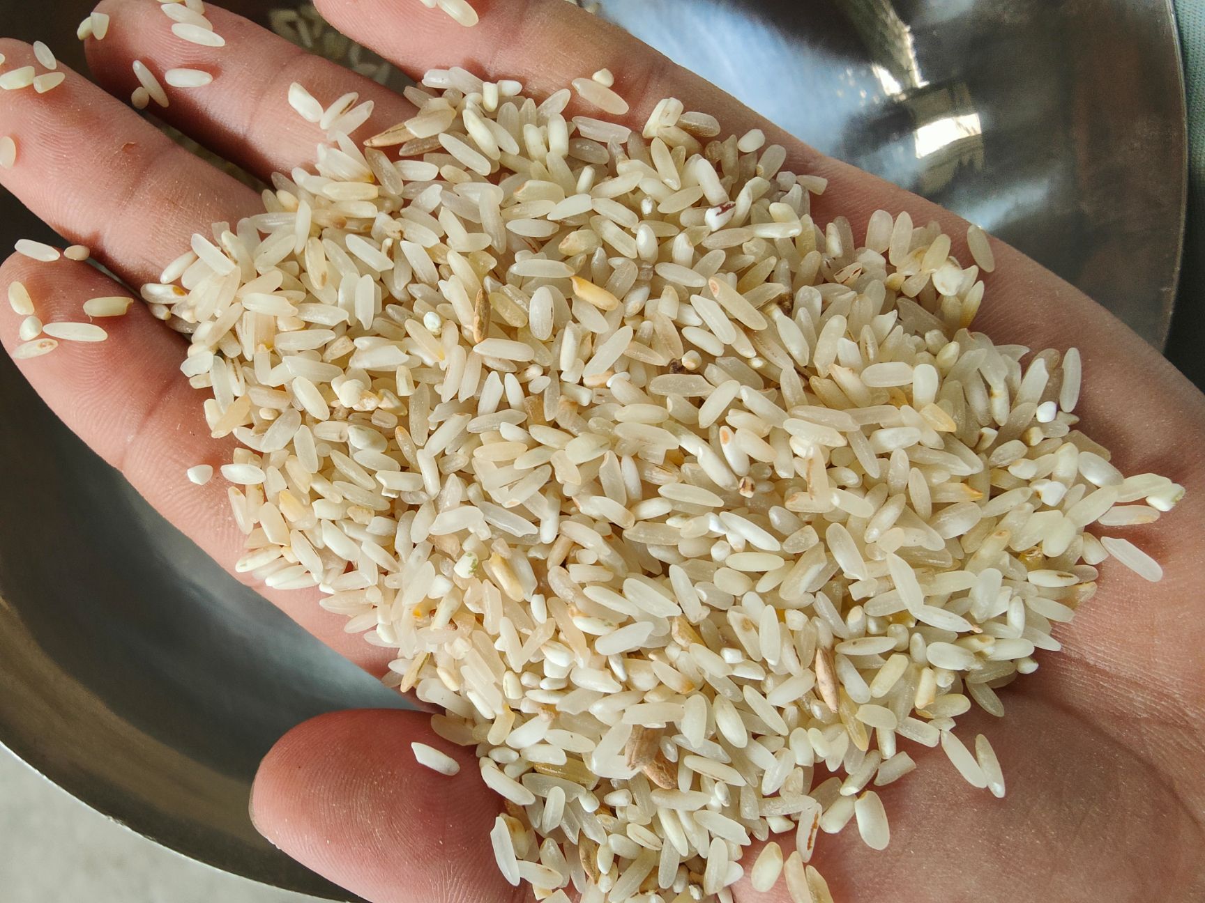 [碎米批发] 碎米价格2800元/吨 