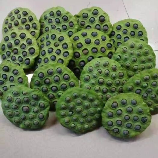 韶关太空莲莲藕 大量供应太空水果莲子