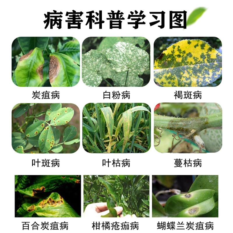 悦联80%多菌灵瓜果蔬菜草木花卉纹枯病赤霉病菌核病杀菌剂