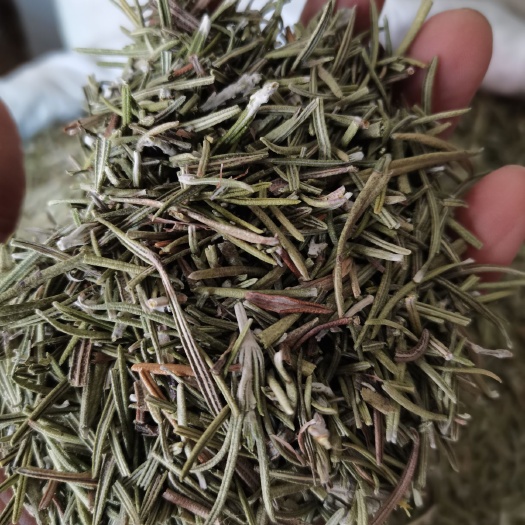 迷迭香 西餐调料 香包 各种香辛料批发 中药材大全