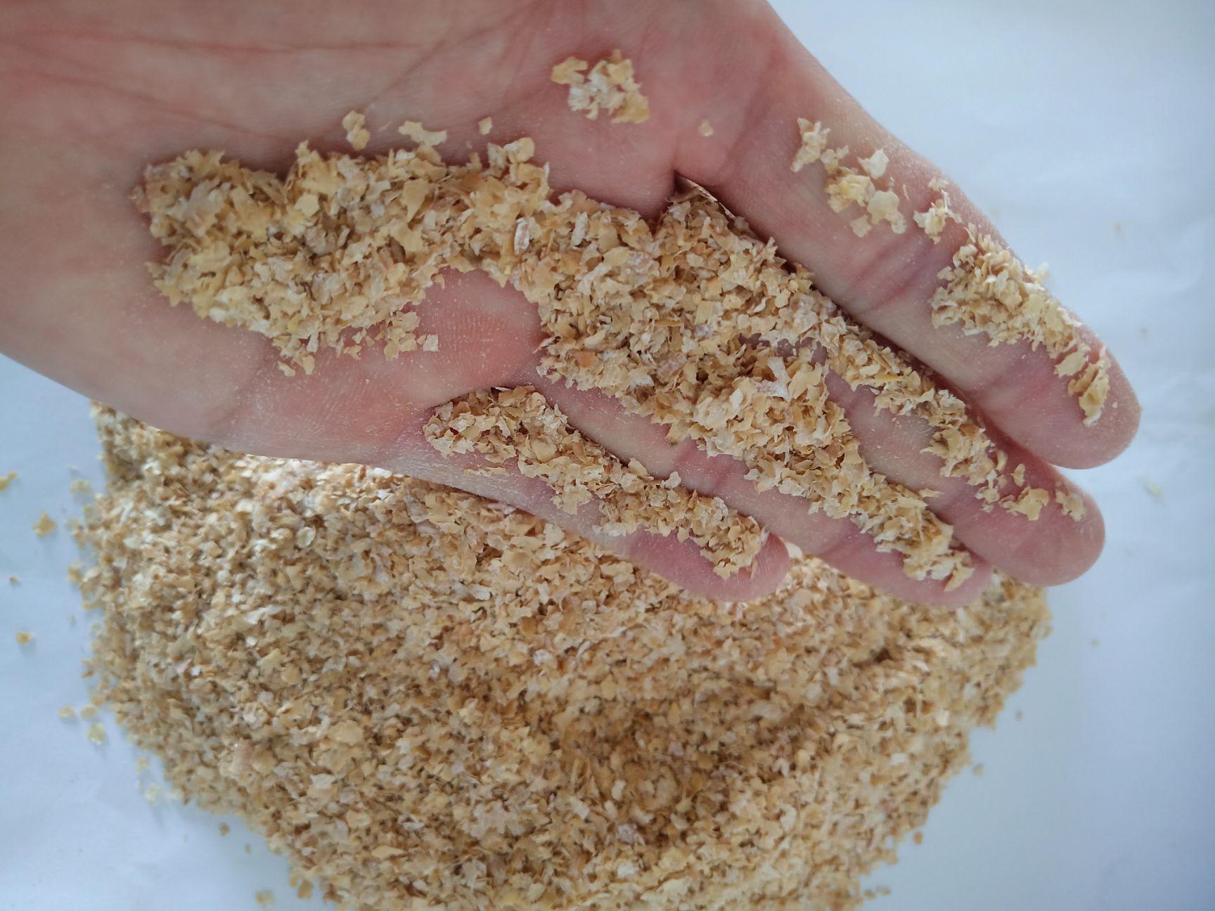 麦麸，麸皮，大片麸皮，混合麸皮，细麸