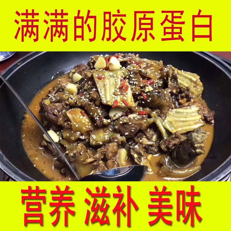 外塘公甲鱼鲜活食用活体新鲜王八水鱼中华老鳖海鲜甲鱼