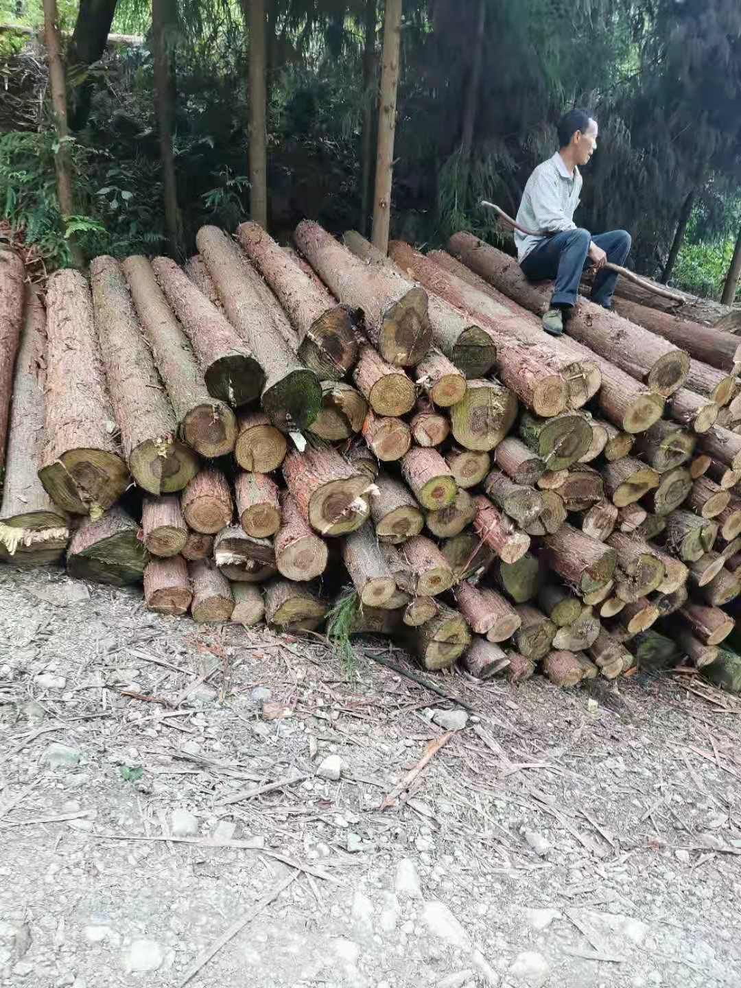 香杉 木材   主要是杉木，柳杉，各种家具用料