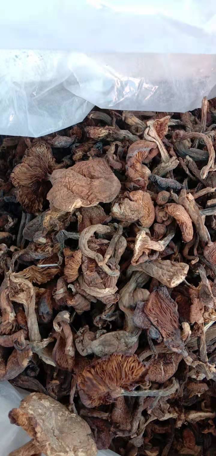 长白山榛蘑，榛蘑，都是小蘑菇丁，味道鲜美，产地直发。保质保量