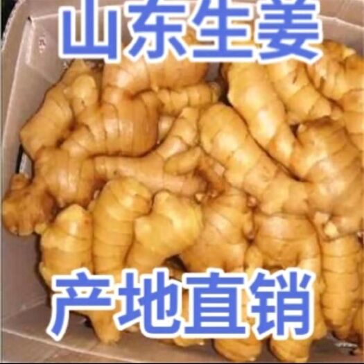 蒙阴县小黄姜  生姜价格 优质生姜产地供货 提供发货 整车 物流 电