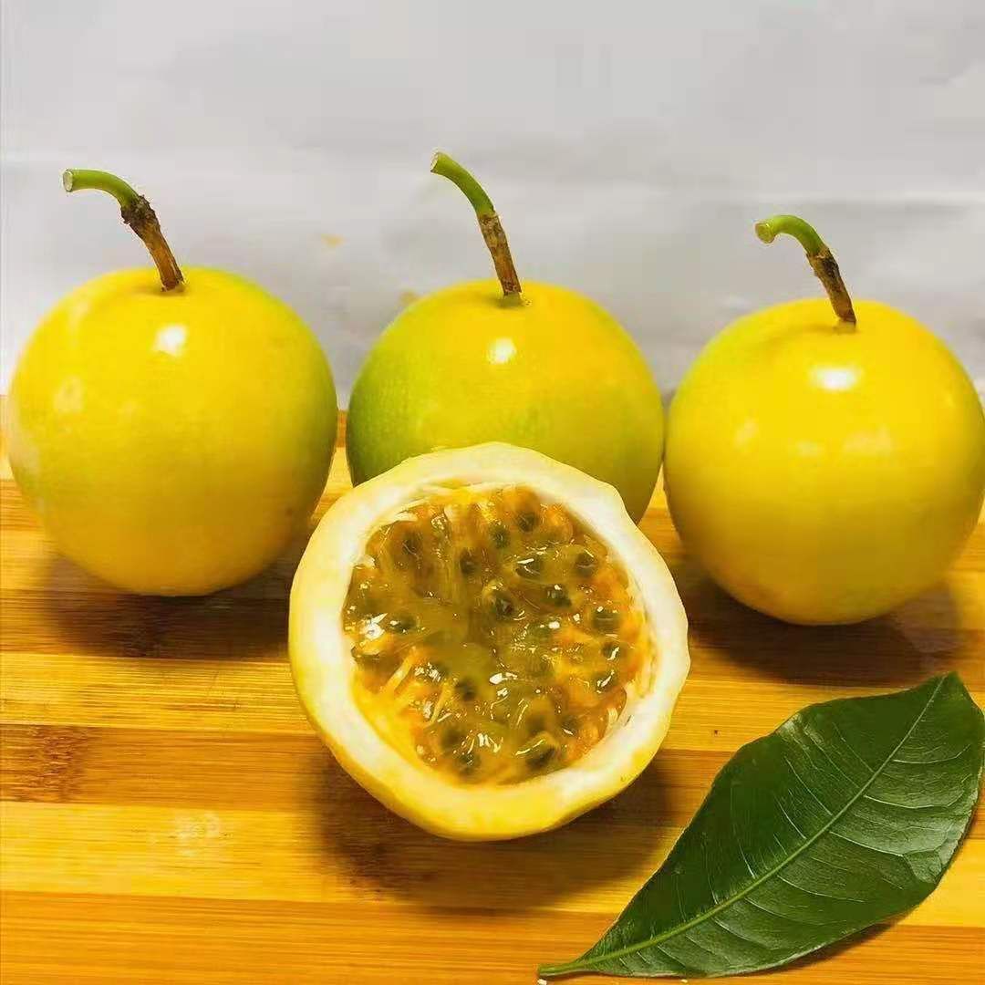 广西百香果苗产地直销常年供应