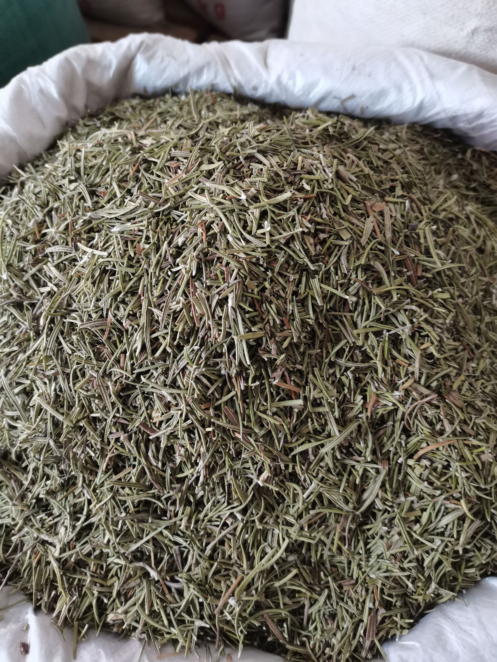 迷迭香 西餐调料  香包 花茶 香辛料中药材大全