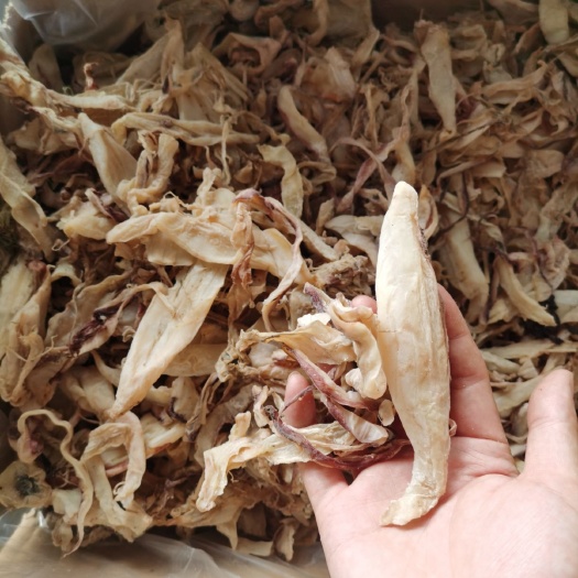 广州鱿鱼干  广西北海鱿鱼片丝水产海捕烧烤手撕大干鱿鱼片干货小大