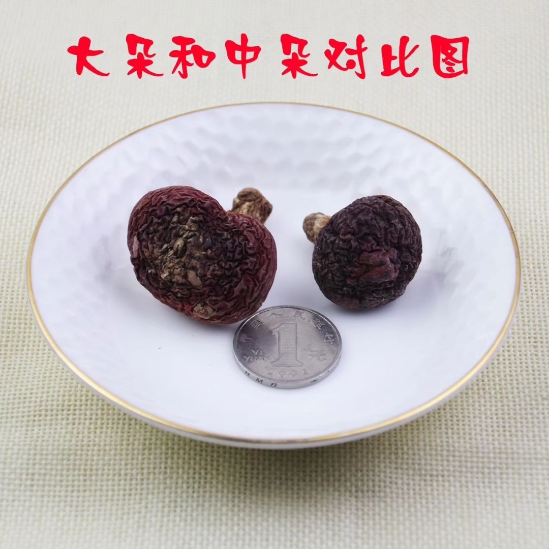 野生红菇送礼佳品