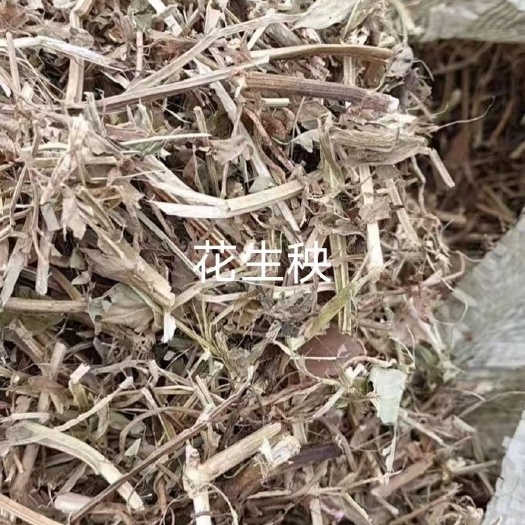 石家庄花生秧