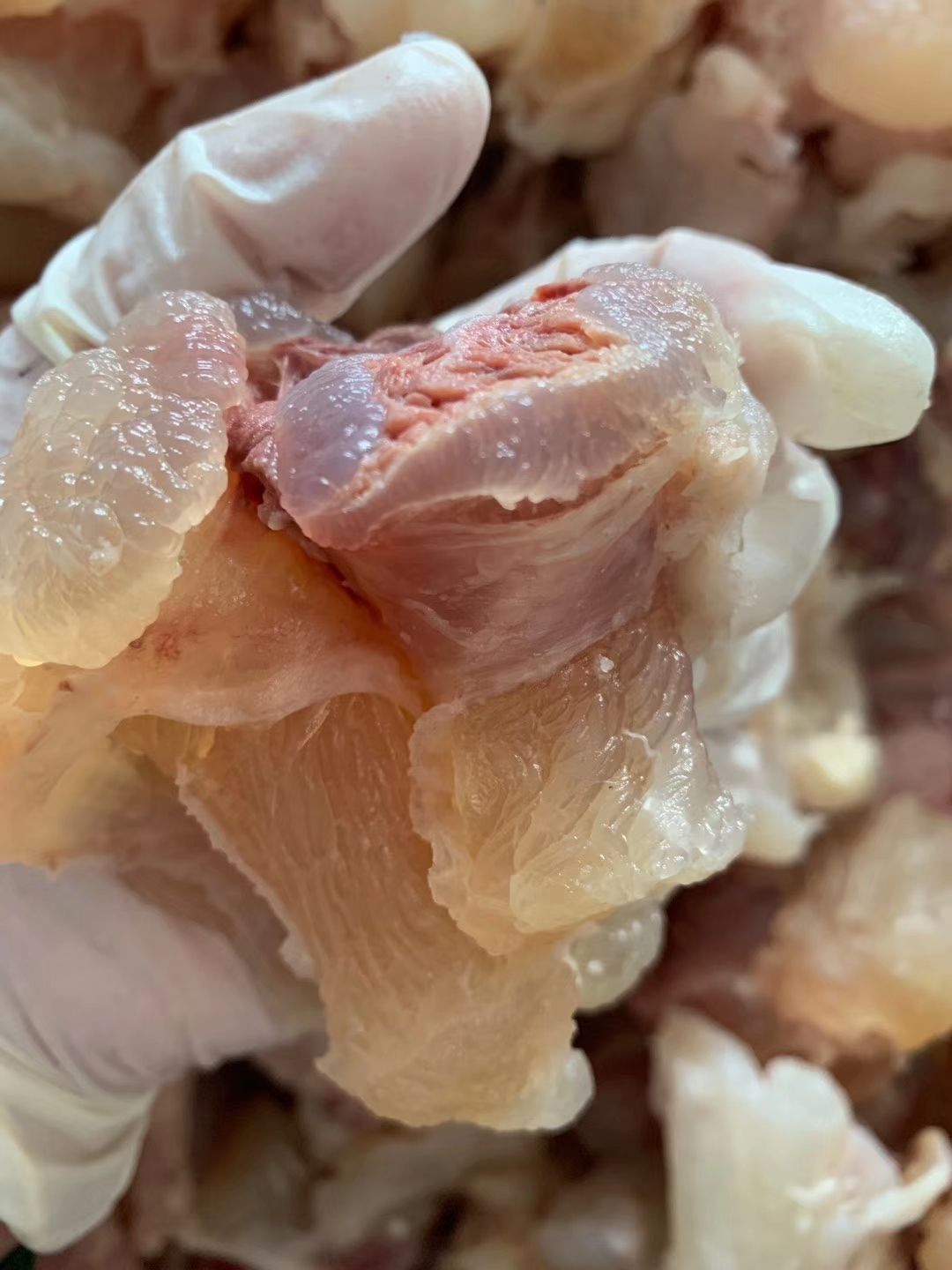 牛筋  熟腱巴筋大量现货，卤煮店，熟食店专用产品