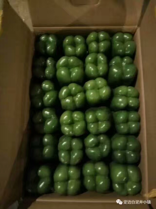 牛角椒 陕北辣椒大量上市