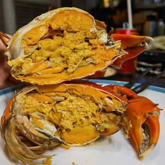 广州青蟹  头手黄油蟹 膏油蟹