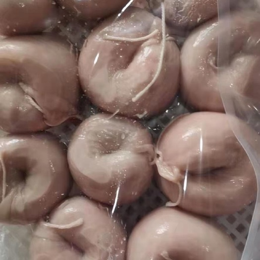 河间市羊肠  圈圈肠