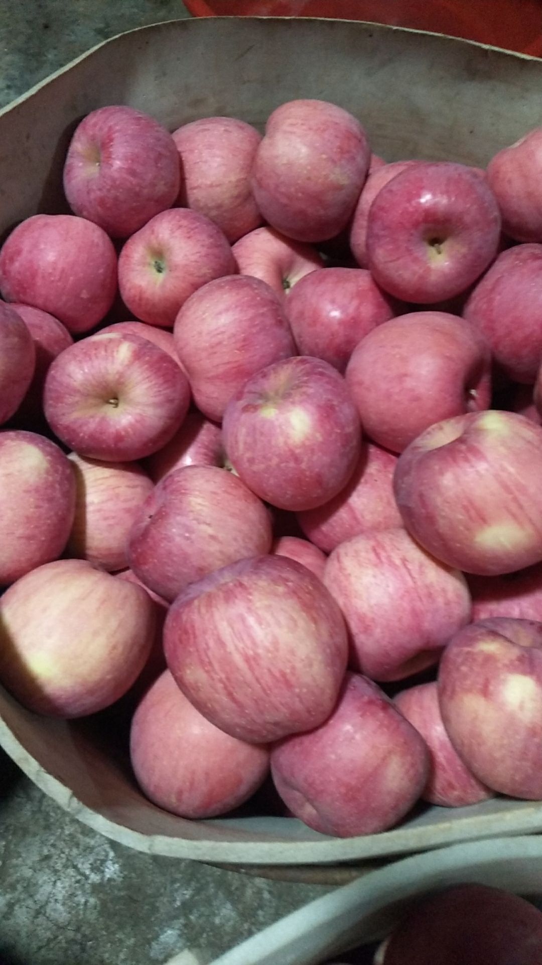 黄蜜樱桃 各种品种大樱桃