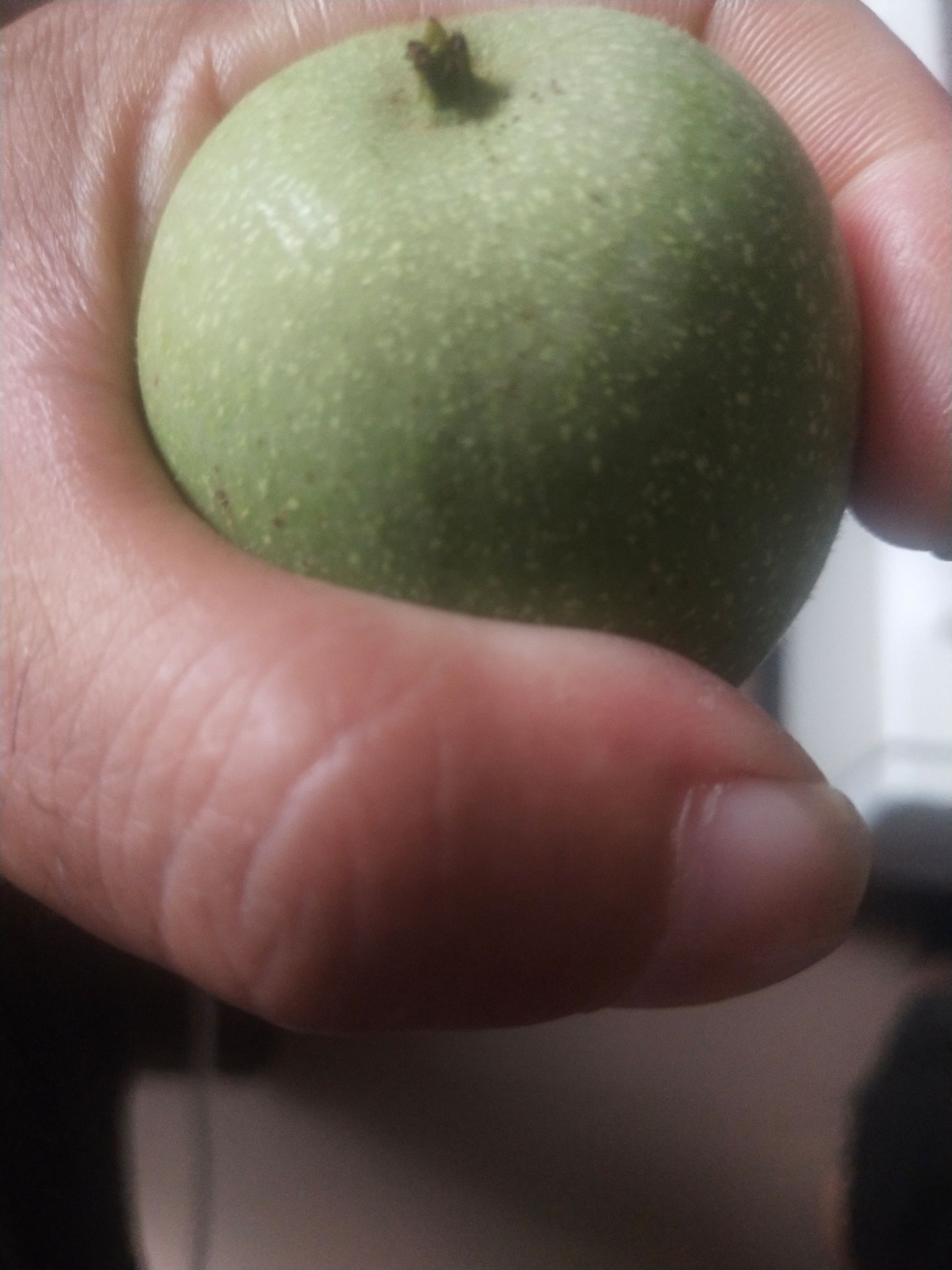 产地杂果新品种青皮核桃各种规格大不封顶，现摘现发。