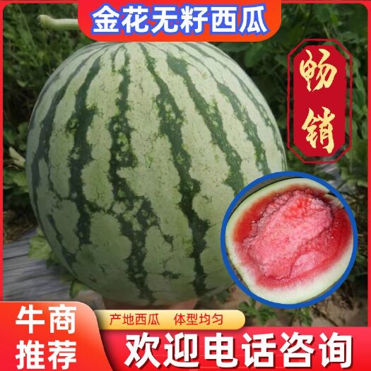 通许县金花西瓜  金花无籽西瓜，正在大量供货，产地直发，产地看货，保质保熟