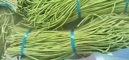 绿翡翠长豆角  豆角，长豆角，基地大量种植直供