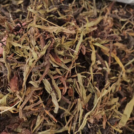 亳州甘松 水洗甘松 过筛甘松 各种香辛料批发 中药材大全