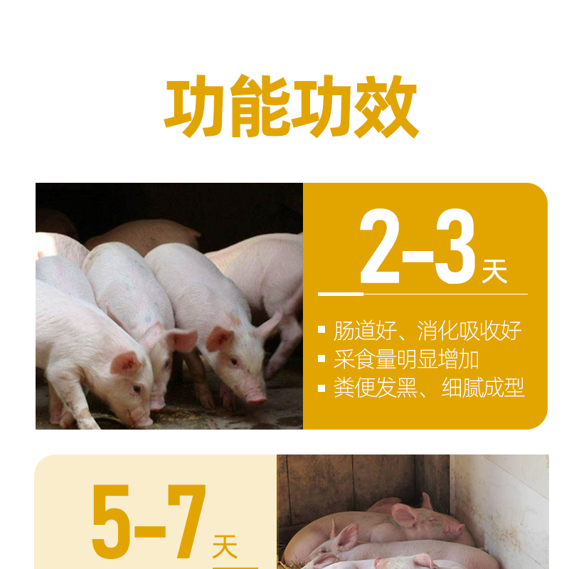 猪速长核心料膘王 ，拉骨架抗拉稀促进生长，催肥增重提前出栏