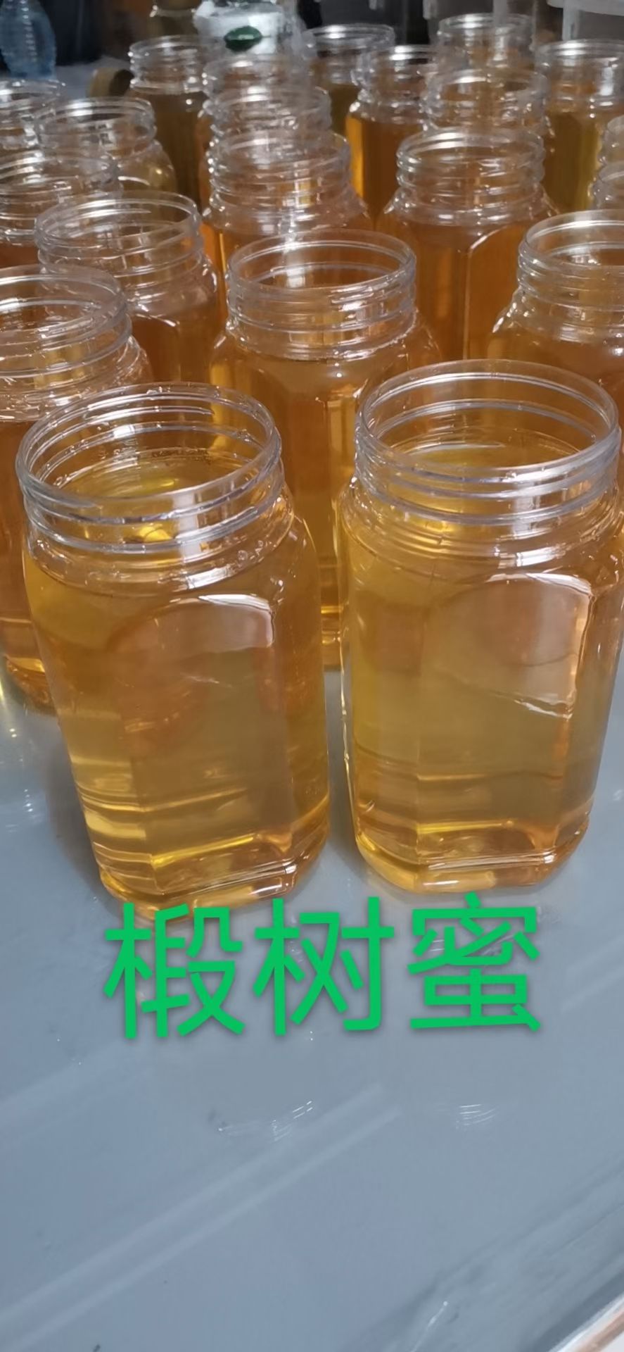 椴樹蜜 東北純正椴樹蜂蜜