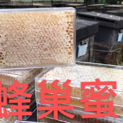 贵港蜂巢蜜 蜂蜜