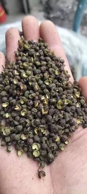 干青花椒，一件60斤。可以卖10一碗模式，送广告布录音U盘